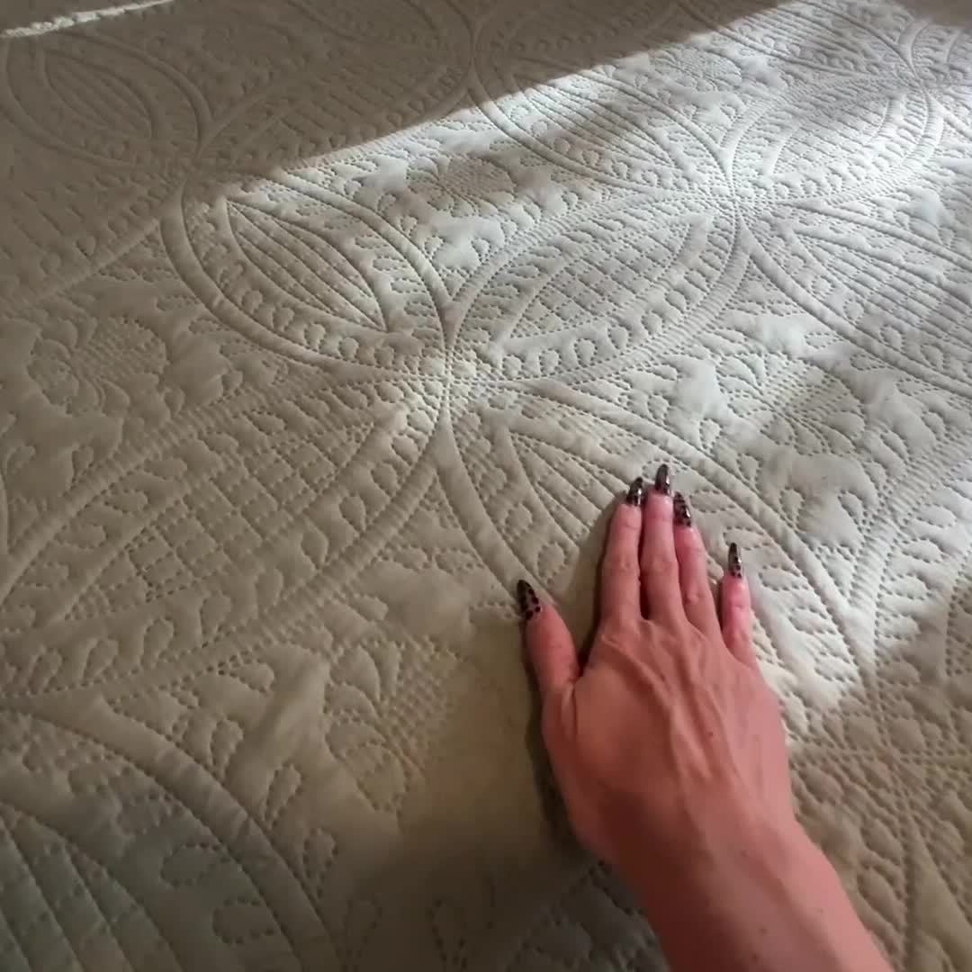 3pcs Set of Coin Patterned Bed Cover