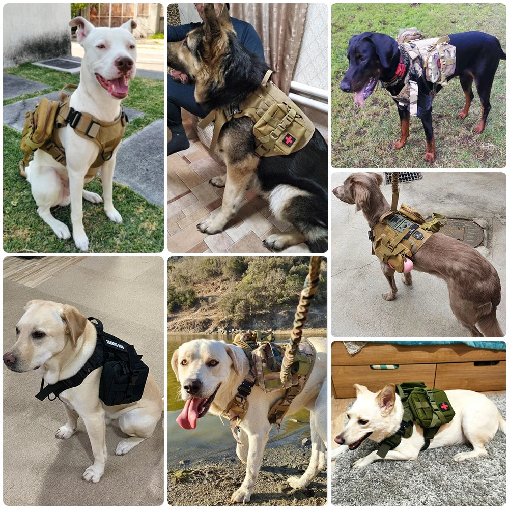 Military Harness Collar Leash Set For Medium & Large Dogs