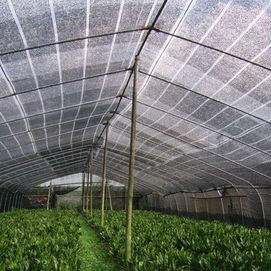 10 ft. x 10 ft. Black Plant Cover Greenhouse